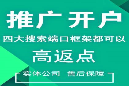 SEM网络推广成功案例：打造爆款关键词策略